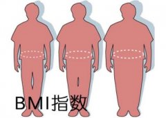 超声波身高体重测量仪之判断肥胖的标准在这