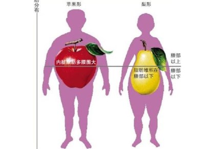 超声波身高体重测量仪-你的内脏脂肪是否超标 ,山东国康