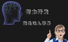 儿童智力测试仪阐述如何促进儿童大脑发育